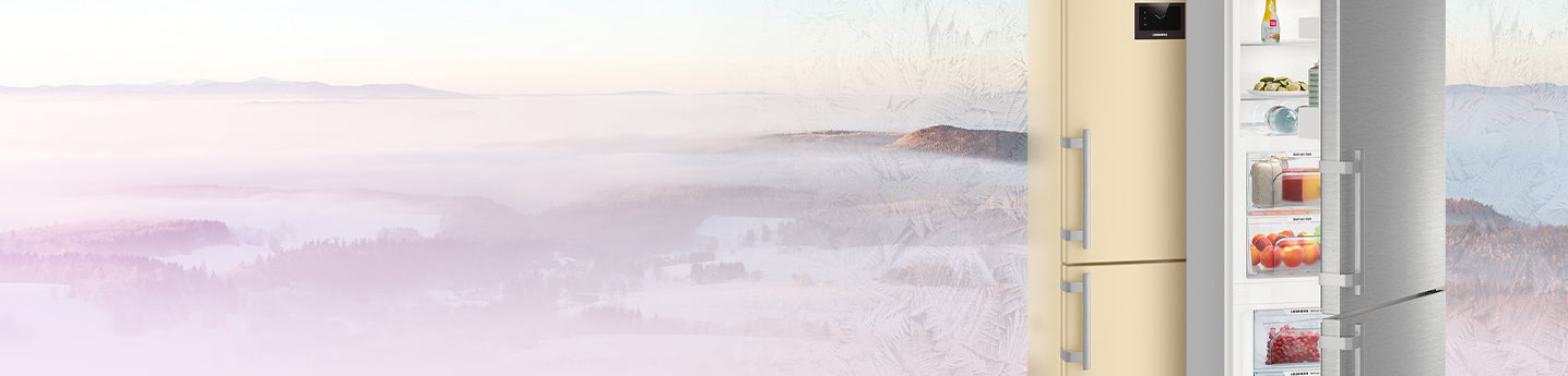 Двухкамерные холодильники Liebherr