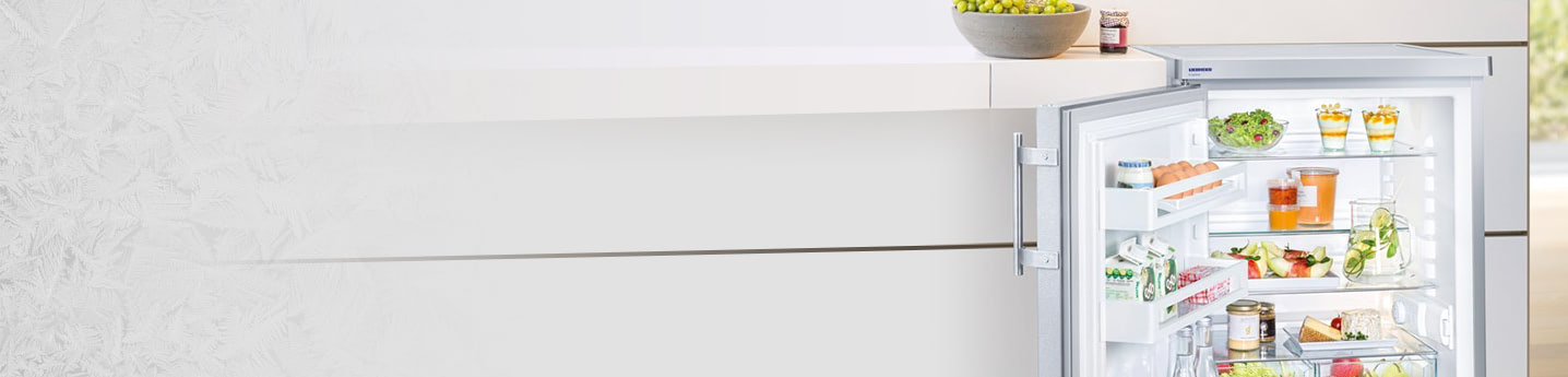 Однокамерные холодильники Liebherr