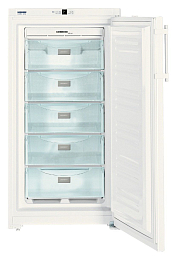 Морозильник Liebherr GN 2613