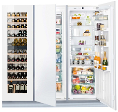 Встраиваемый холодильник Liebherr SBSWgw 99I5