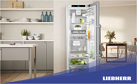 Преимущества капельной разморозки в холодильниках Liebherr