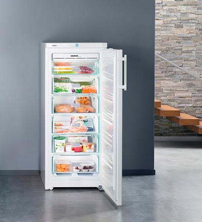 Морозильная камера Liebherr GNP 2313 preview 6