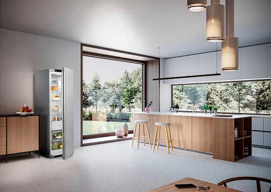 Холодильник Liebherr RDsfe5220 preview 11