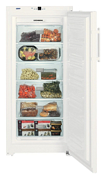 Морозильник Liebherr GN 3113