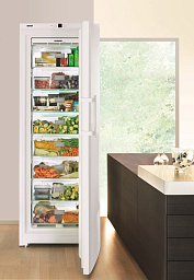 Морозильник Liebherr GN 4113