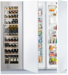 Встраиваемый холодильник Liebherr SBSWdf 99I5