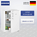 Купить Холодильник Liebherr Rci 1620 preview 1