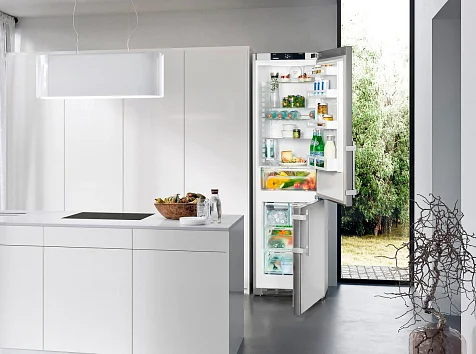 Холодильник Liebherr CNef 4825