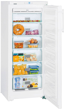 Морозильная камера Liebherr GNP 2313 preview 1