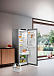 Купить Холодильник Liebherr RDsfe5220 preview 9