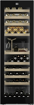 Винный шкаф Liebherr WPgbi 5283 preview 11