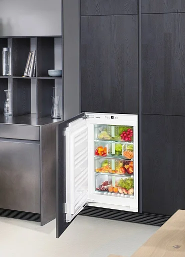 Встраиваемый холодильник Liebherr IB 1650
