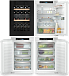 Купить Встраиваемый холодильник Liebherr IXRFWB 3963 (SIBa 3950 + IRc 3950 + IFNd 3954 + EWTgb 1683) preview 2