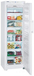 Морозильник Liebherr GN 3076