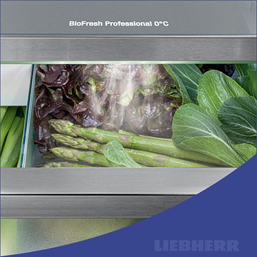 Зона BioFreshProfessional