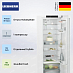 Купить Холодильник Liebherr RBc 5220 Plus preview 2