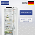 Купить Холодильник Liebherr RBc 5220 Plus