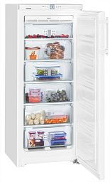 Морозильник Liebherr GNP 2356