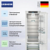 Купить Встраиваемый холодильник Liebherr IRBci 5150 preview 4